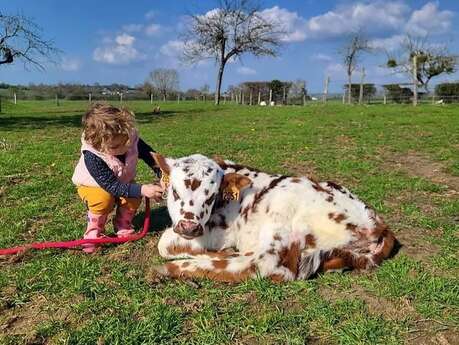 Dans la peau d'un soigneur à la ferme pédagogique Les petits sabots de L'Oudon