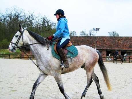 Cours d'équitation (1 heure) au Centre équestre du Robillard