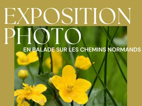 Exposition photo : En balade sur les chemins normands par Anastasia Sierpinski