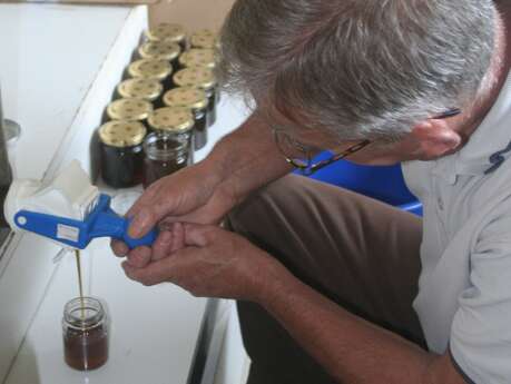 Le miel d'Olga - Visite d'un rucher