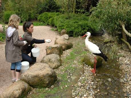 Parc zoologique Cerza : Animation familiale « Qui mange quoi ? »