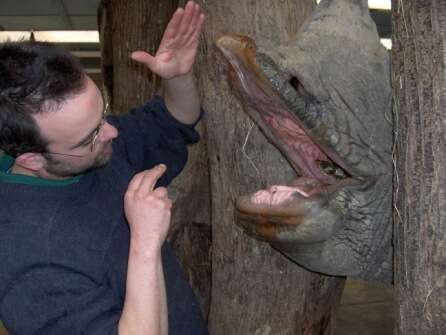 Parc zoologique Cerza : Animation familiale « La Rencontre Hors-norme en VIP »