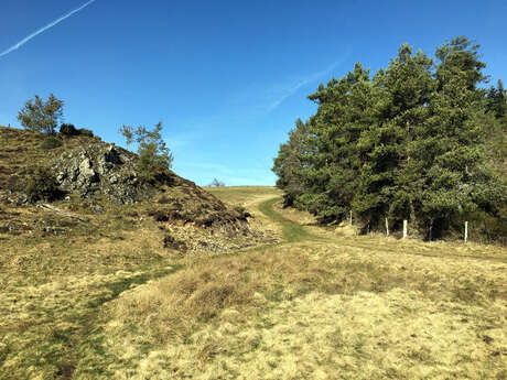 A la naissance du Chavanon - Parcours PAPSE - 11 km