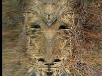 Exposition photos « Les Messagers de Dame Nature »