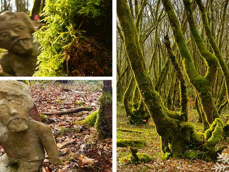 Les amoureux de la Forêt de Blanchefort