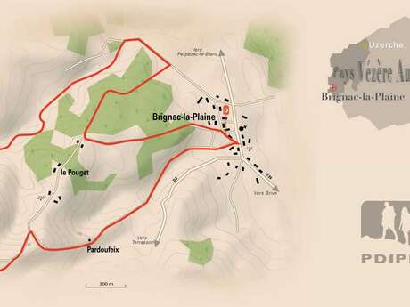 La forêt de Brignac