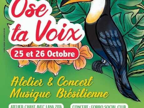 Atelier et concert de musique Brésilienne