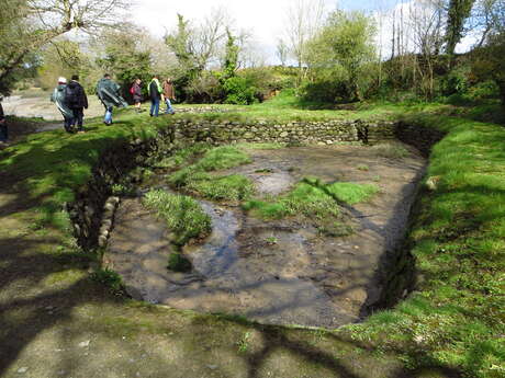 Histoire du lin en Pays Rochois