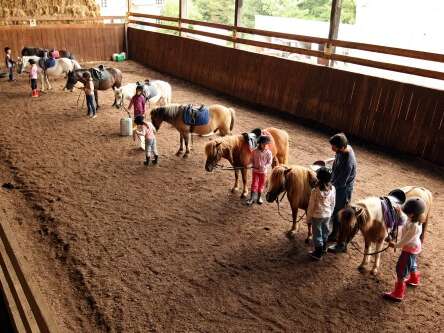 Poney Club du Moulin