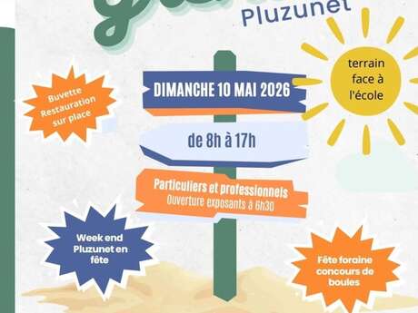 Vide grenier
