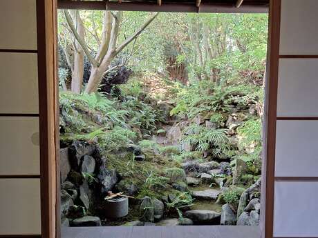 Un jardin de thé - Rendez-vous aux jardins