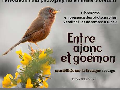 Exposition des photographes animaliers bretons