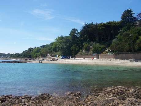 Ateliers Découverte du milieu marin avec le Centre Le Hédraou