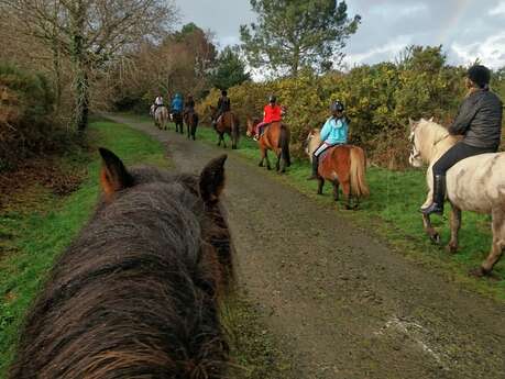 Les poneys de Kerjean Les poneys de Kerjean