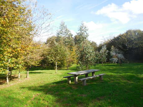 Aire couverte de l'arboretum de Beffou