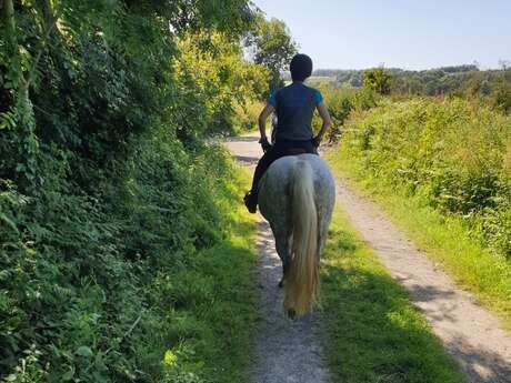 Une journée à cheval à Plouaret