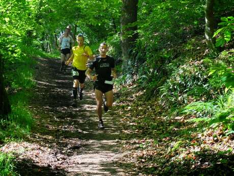 Trail en Guirec