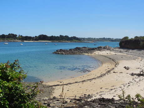 Plage et coquillages