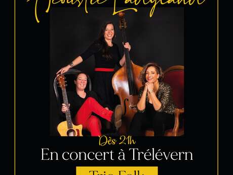 Acoustic Ladyland