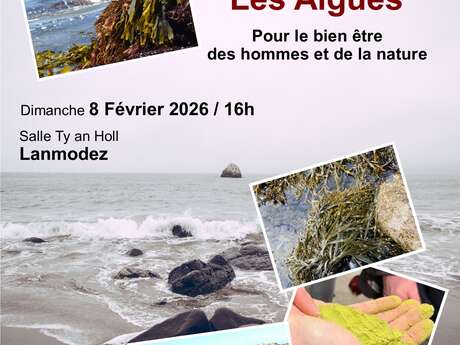 Les algues pour le bien-être des hommes et de la nature