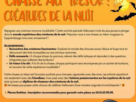 Chasse au trésor : créatures de la nuit
