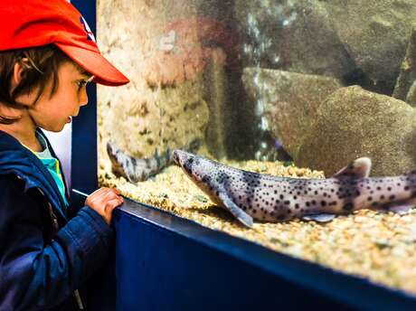 Aquarium Marin de Trégastel