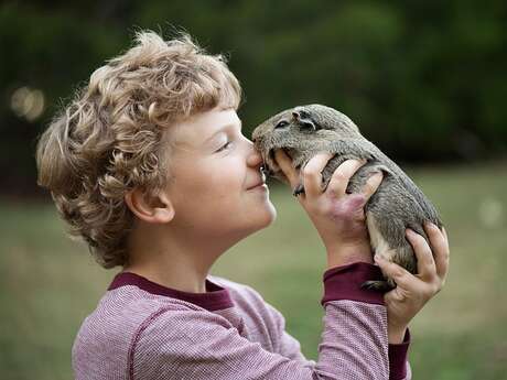 Biscuits party pour les petits animaux en famille