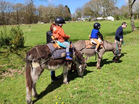 Atelier Les petits âniers
