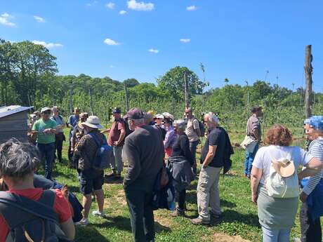 Les Vergers du Trégor