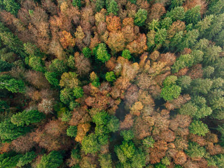 Le Pavé - Point culminant du Trégor