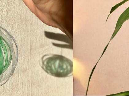 Atelier Éclosion de plastique