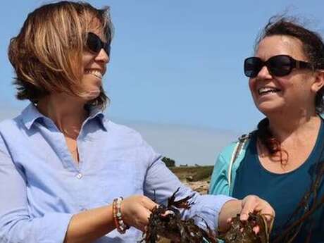 Découverte des algues