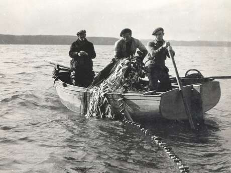 La pêche à la sardine à Locquémeau