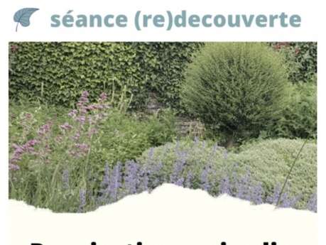 Repirer au jardin - séances de sophrologie au naturel