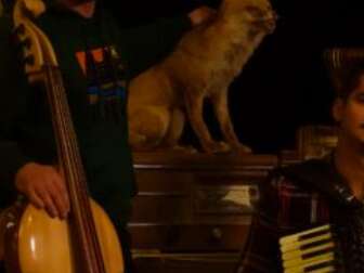 Gabriel Saglio Trio - chanson intimiste