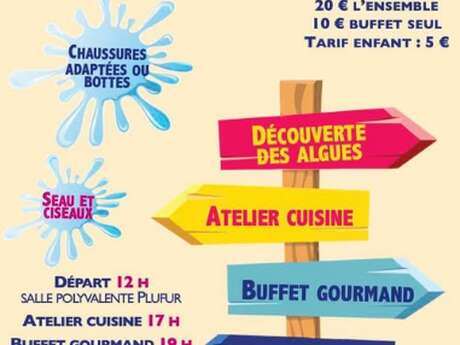 Balade gourmande sur l'estran