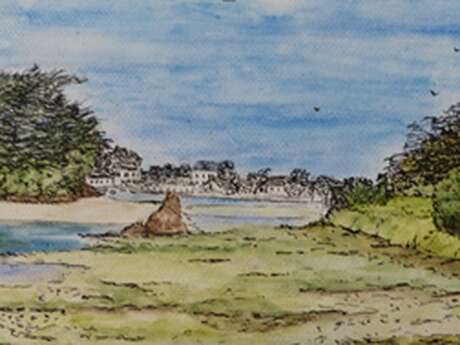 Mes bords de mer et plus encore...