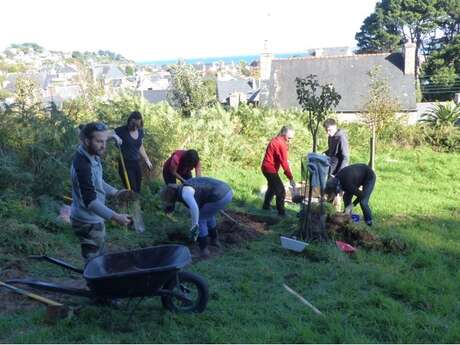 Chantier nature