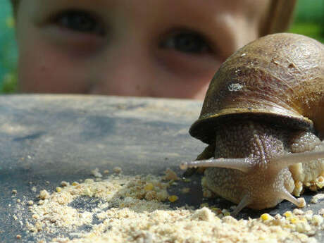 Les visites guidées de Chapeau l'escargot