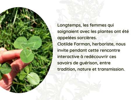 Sacrée nature - Explorer les plantes médicinales