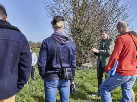 Sortie nature à l'écoute des oiseaux au Bois Riou