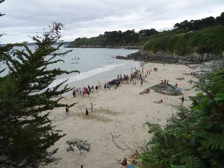 Traversée de la Baie à la nage