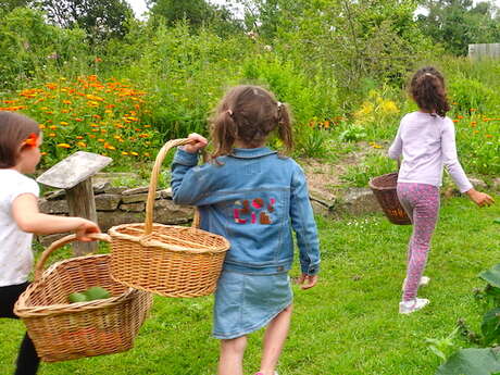 Deviens apprenti jardinier -  Atelier créatif enfant