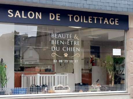 Os Beaux Chiens
