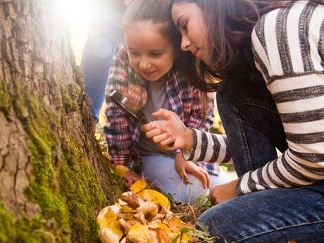 Mission détective - Les œufs disparus de Paulette la rainette