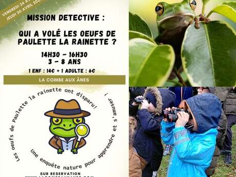 Qui a volé les œufs de Paulette la rainette ?