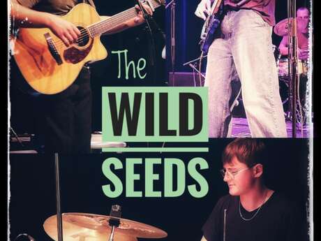 concert the Wild Seeds