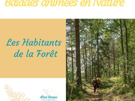 Les habitants de la forêt