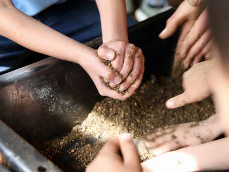 Sème des boules à graines - Atelier créatif enfant