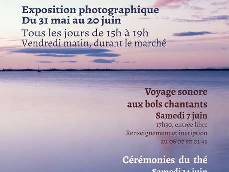 Exposition Paysages Impermanents